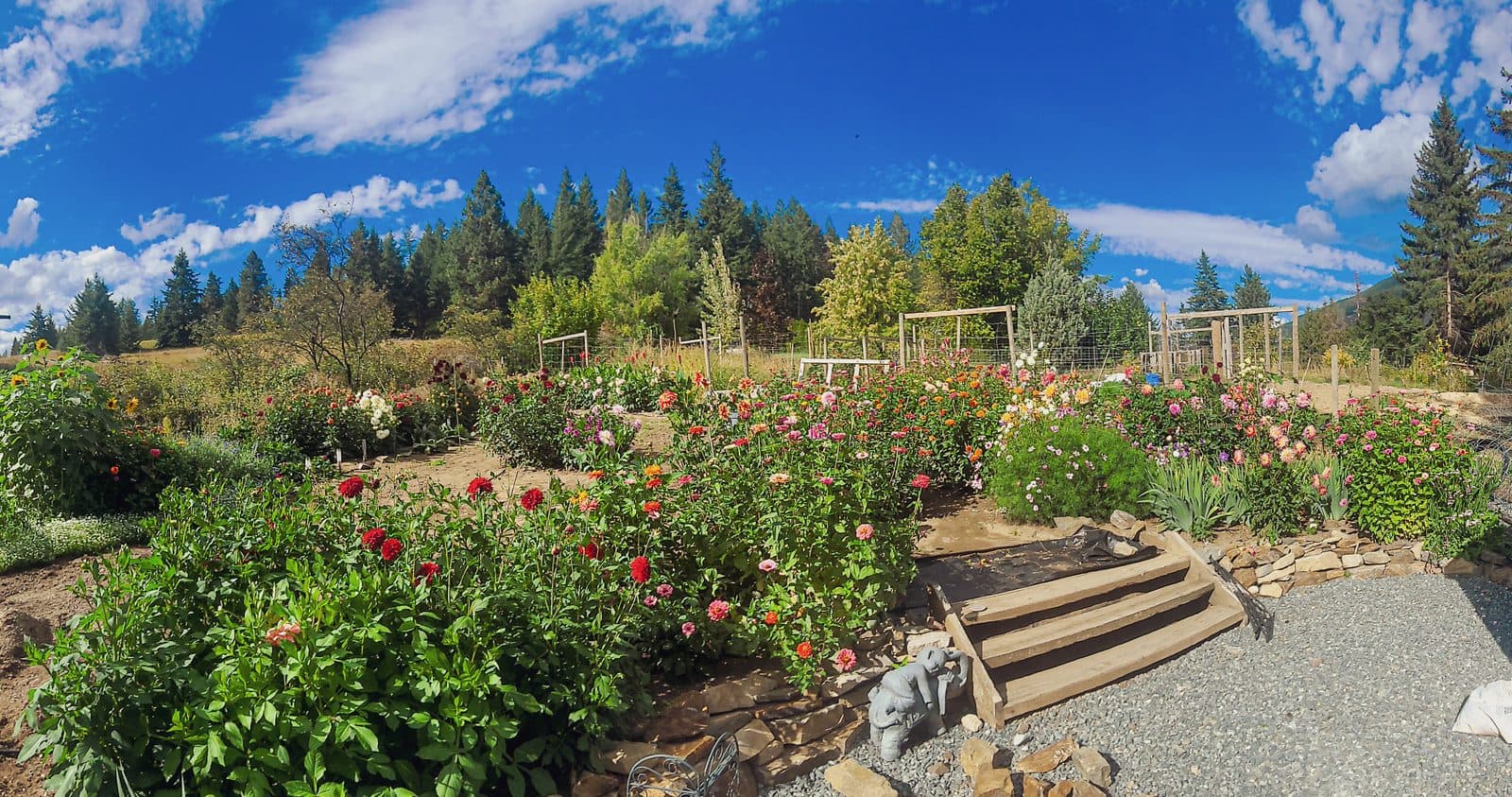 Gardens at Indigo Oasis 5